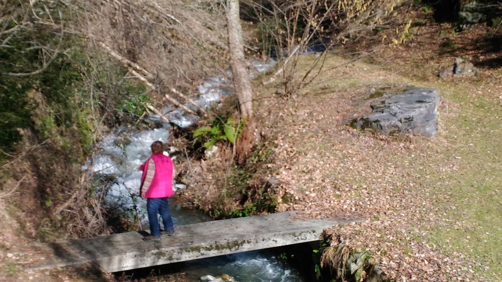 walking in the country side around our chalet 