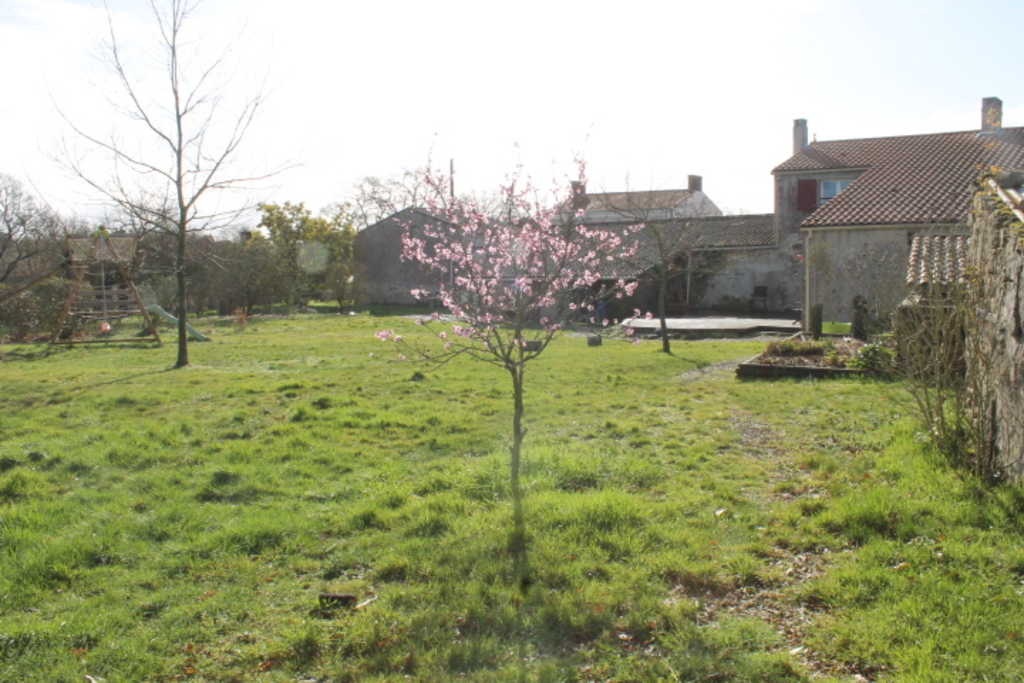 view of the house on the north side from the bottom of the garden...
