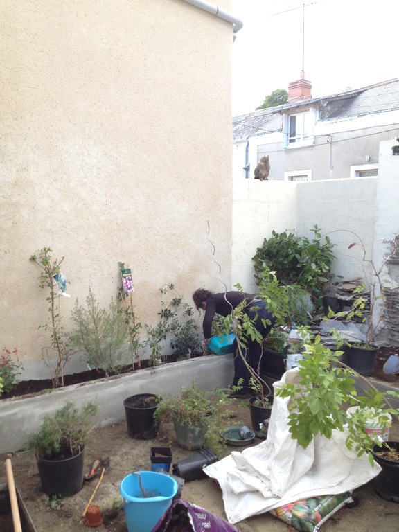 Building the garden from nothing