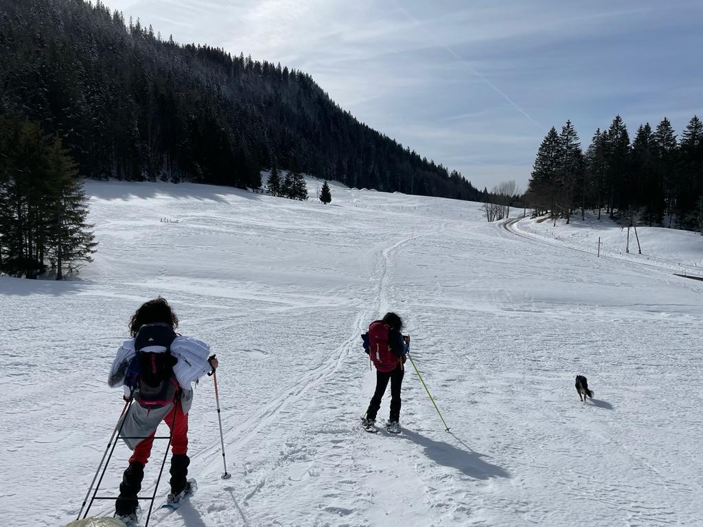 Our last vacation. Hikes in pulkka and bivouac in the jura