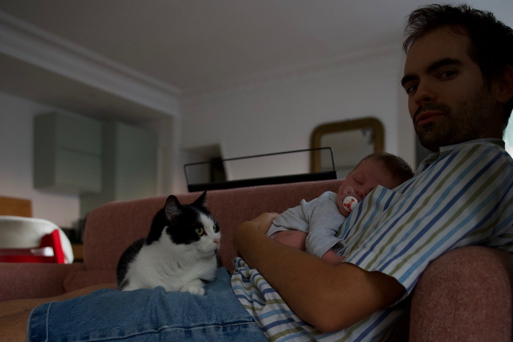 Léo, Joseph et Rimbaud le chat
