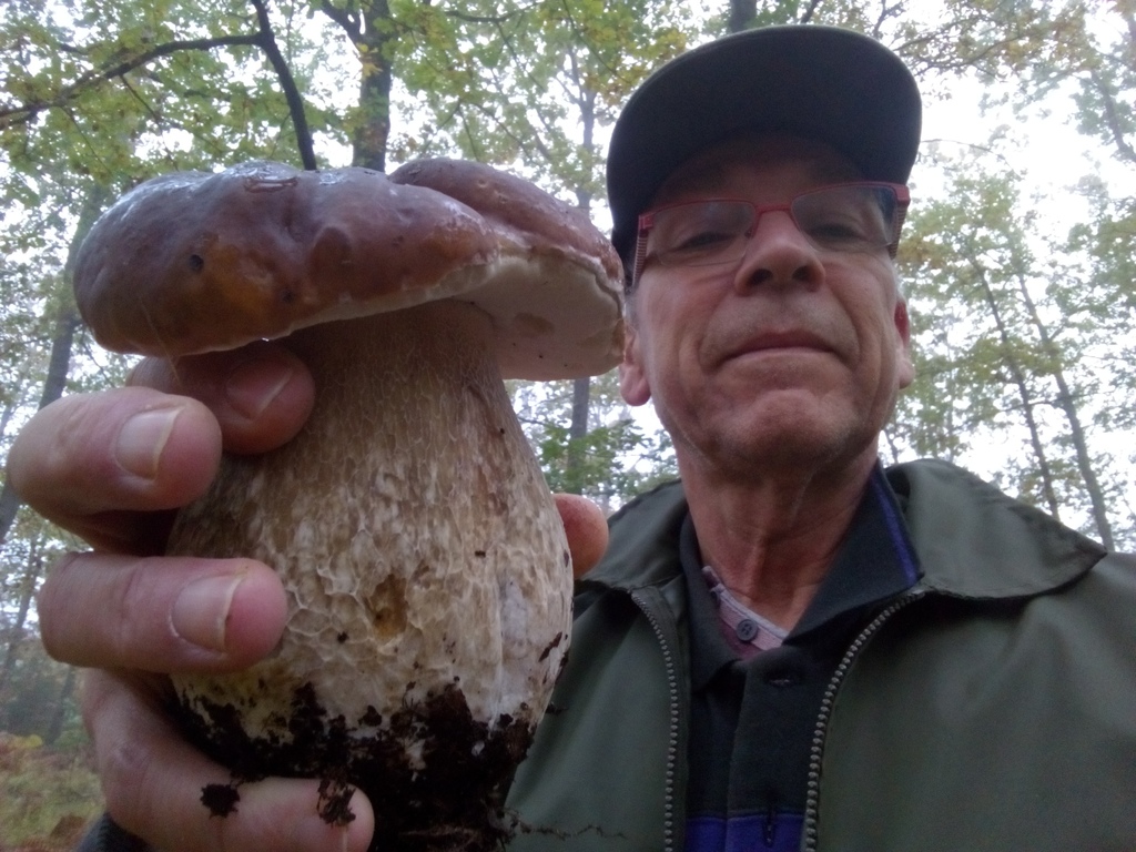 Jean-Jacques aux champignons