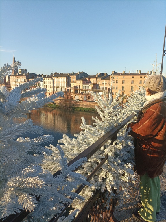 Montauban, belle petite ville au bord du Tarn à 13 km d'ici