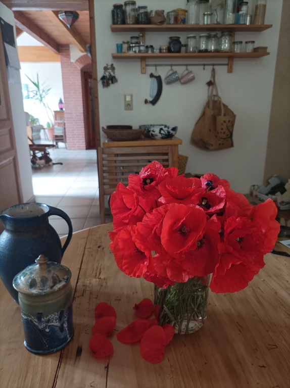 On aime les fleurs chez nous