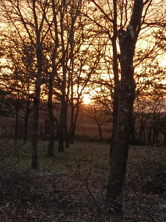 Coucher de soleil au parc