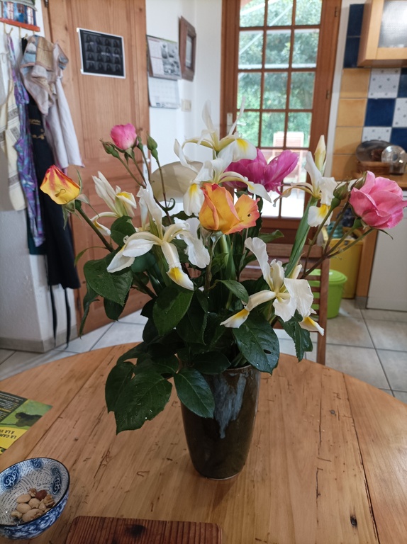 Nos fleurs du jardin