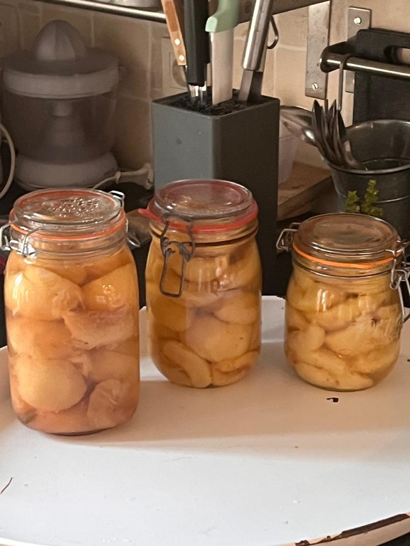 Conserves de fruits d’ete