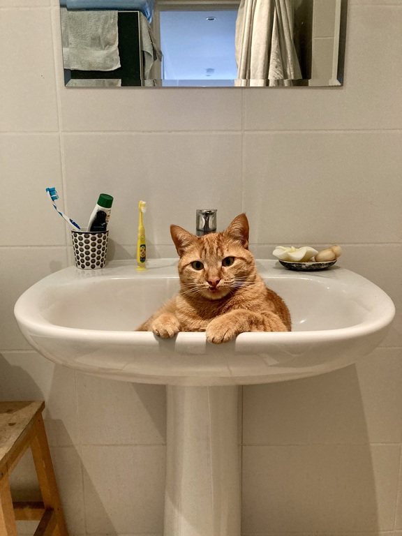 Ti Punch prend son bain 