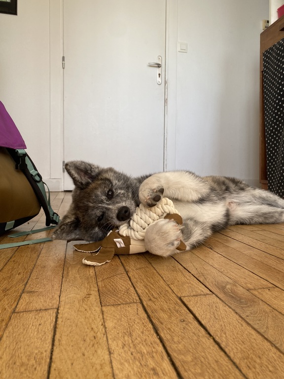 Umi, 4 mois avec son jeux préféré