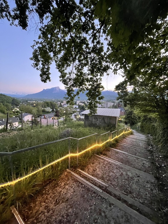 One of the many paths from the house