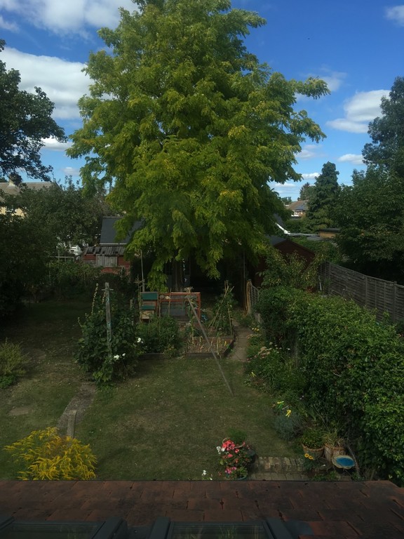 garden