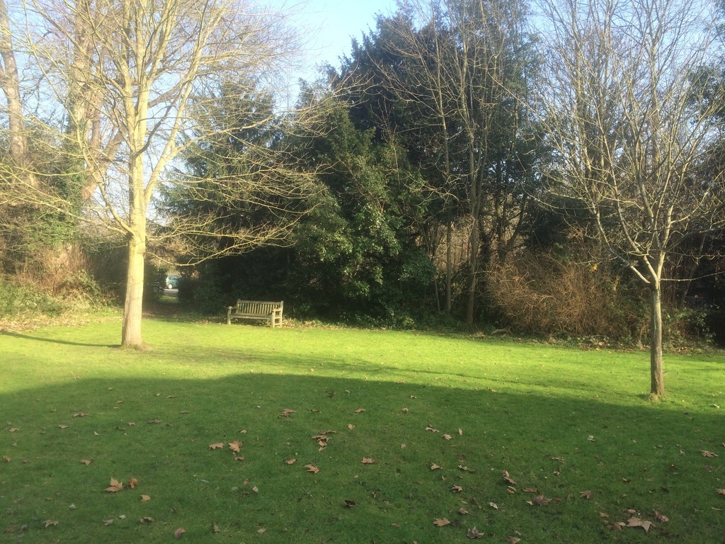 Lawn outside for shared use