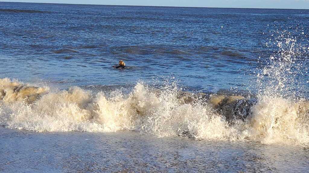 Winter sea swimming, Southwold beach