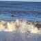 Winter sea swimming, Southwold beach