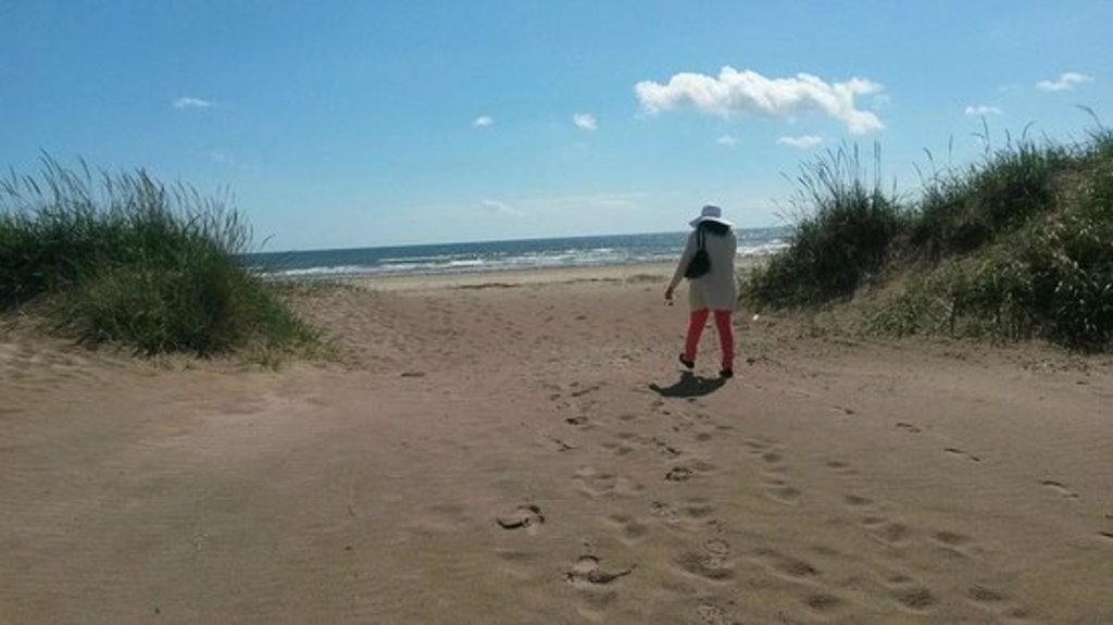 Beautiful sandy beach and forest at Tentsmuir (20min)