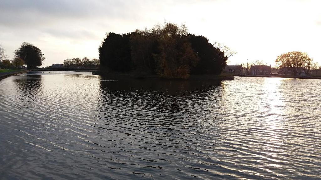 The "swanny ponds" - small park less than 1 min walk