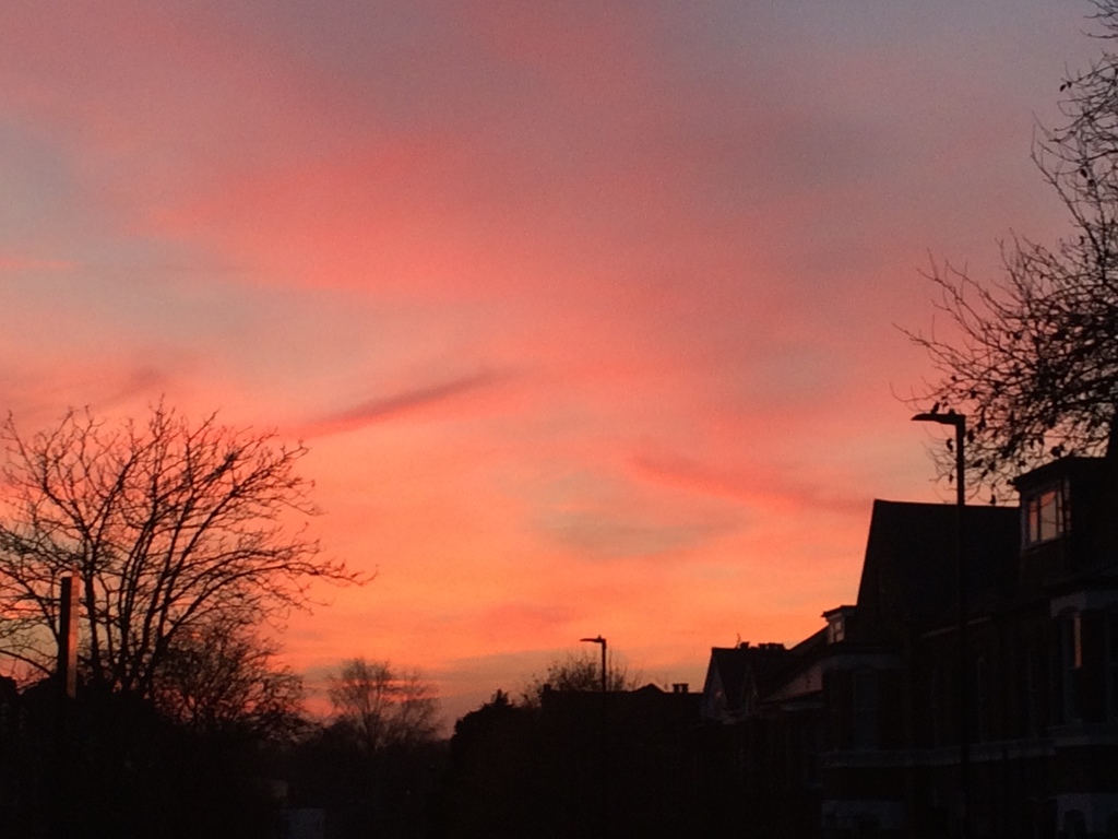 Sunset over West Norwood