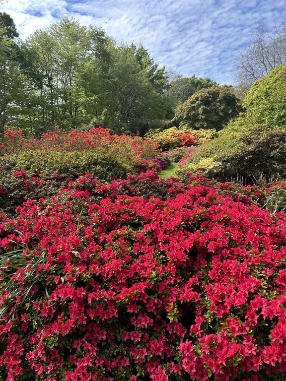 Seaton Park in Old Aberdeen a ten minute walk from our house.  Lovely gardens, river walk, swing park.
