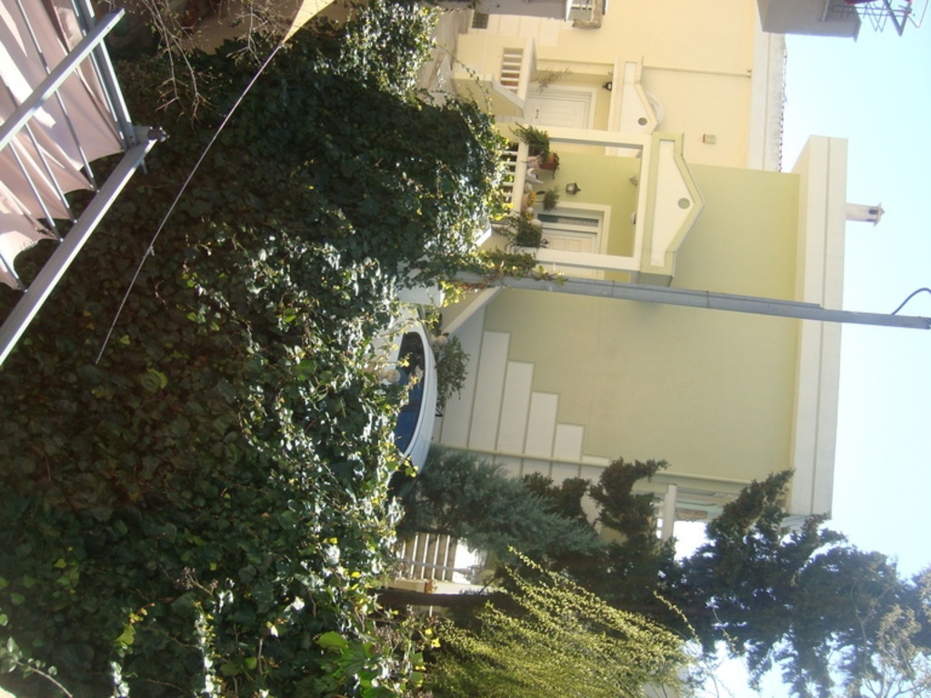 back side of our semi-detached-main entrance