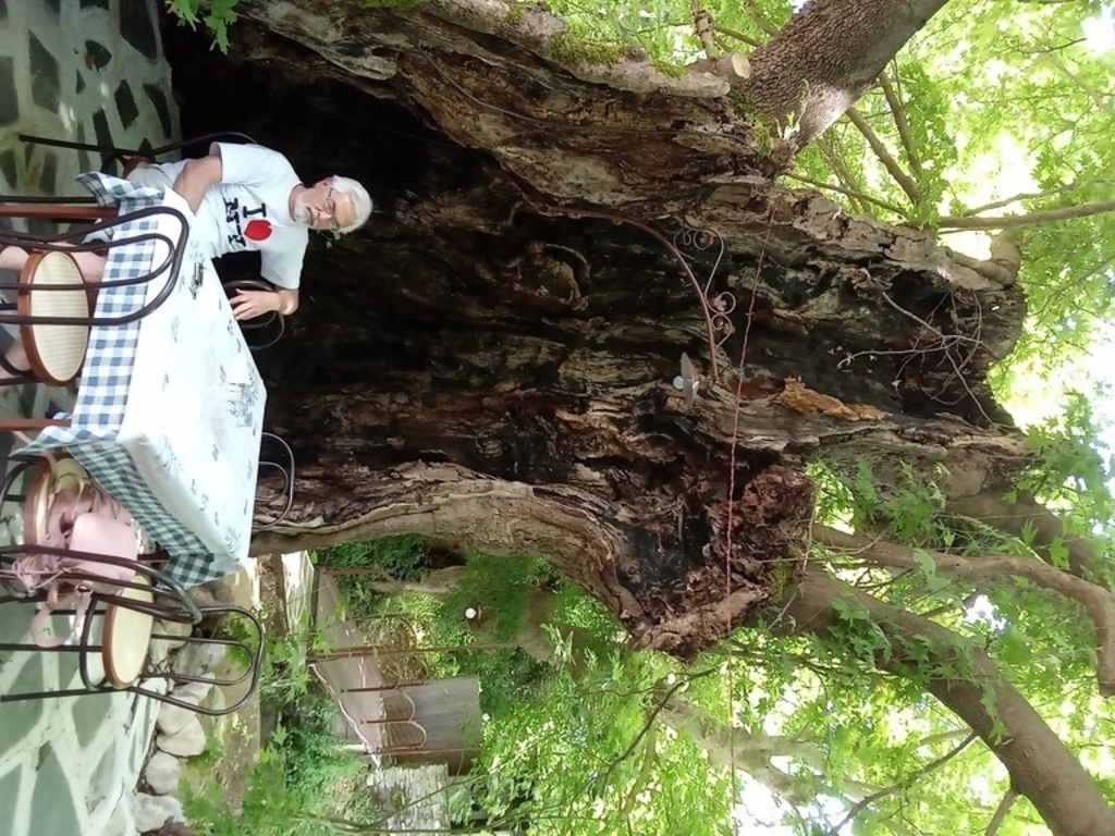 MINAS  BY THE OLDEST TREE IN A VILLAGE AT KAVALA