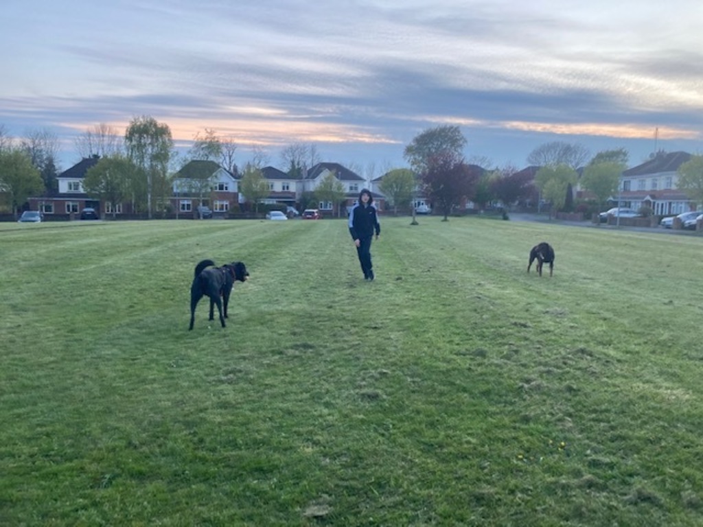 Tommy and Buddy on the green opposite our house