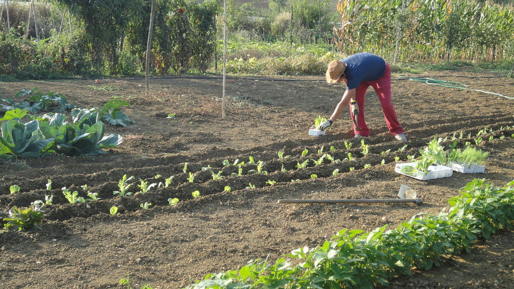 Paolo at our farm "La Pasina"