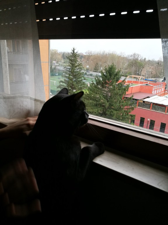 Leila at the window - she lives in our appartment in Terni