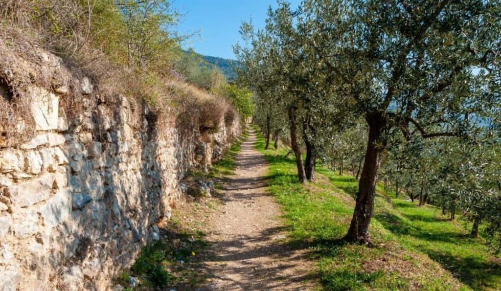 Spello - Roman Aqueduct Trail