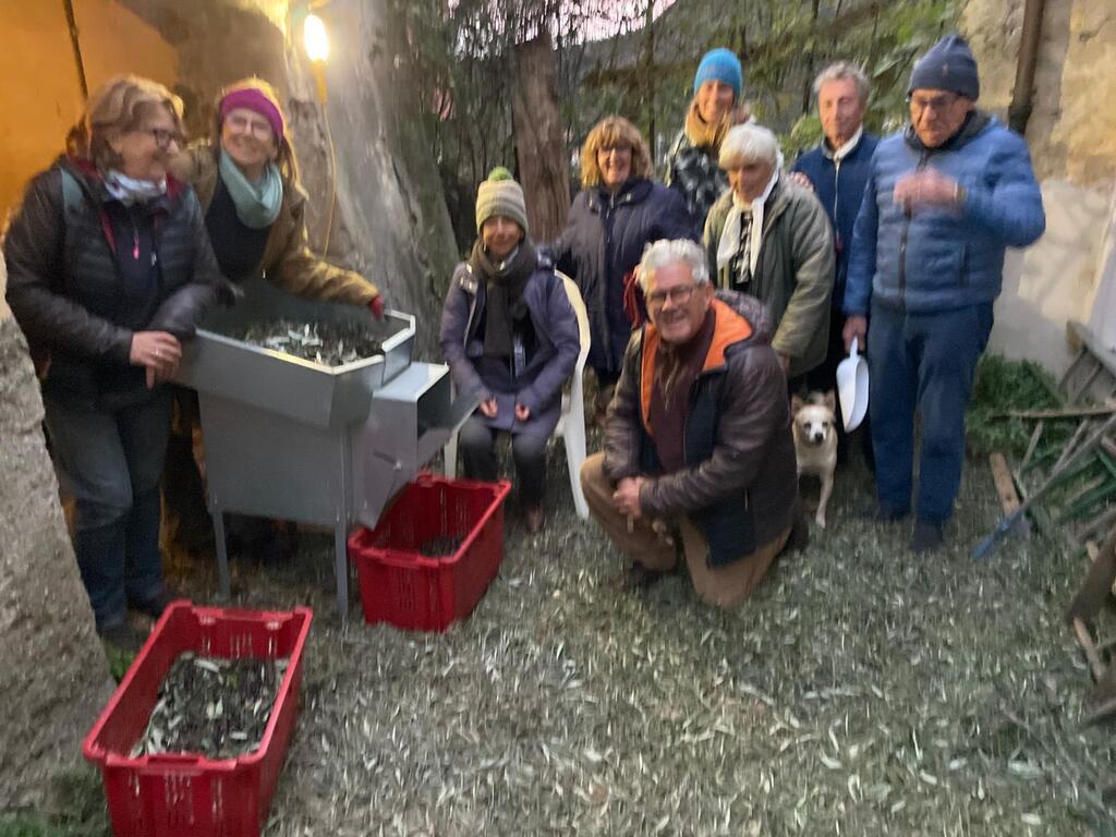 All together to pick up the olives