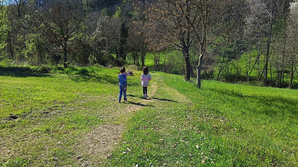 Se vi piace camminare il territorio è pieno di sentieri CAI 
