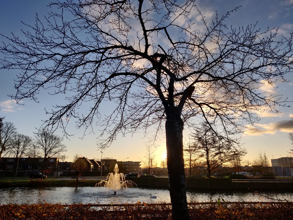 beautiful morning walks