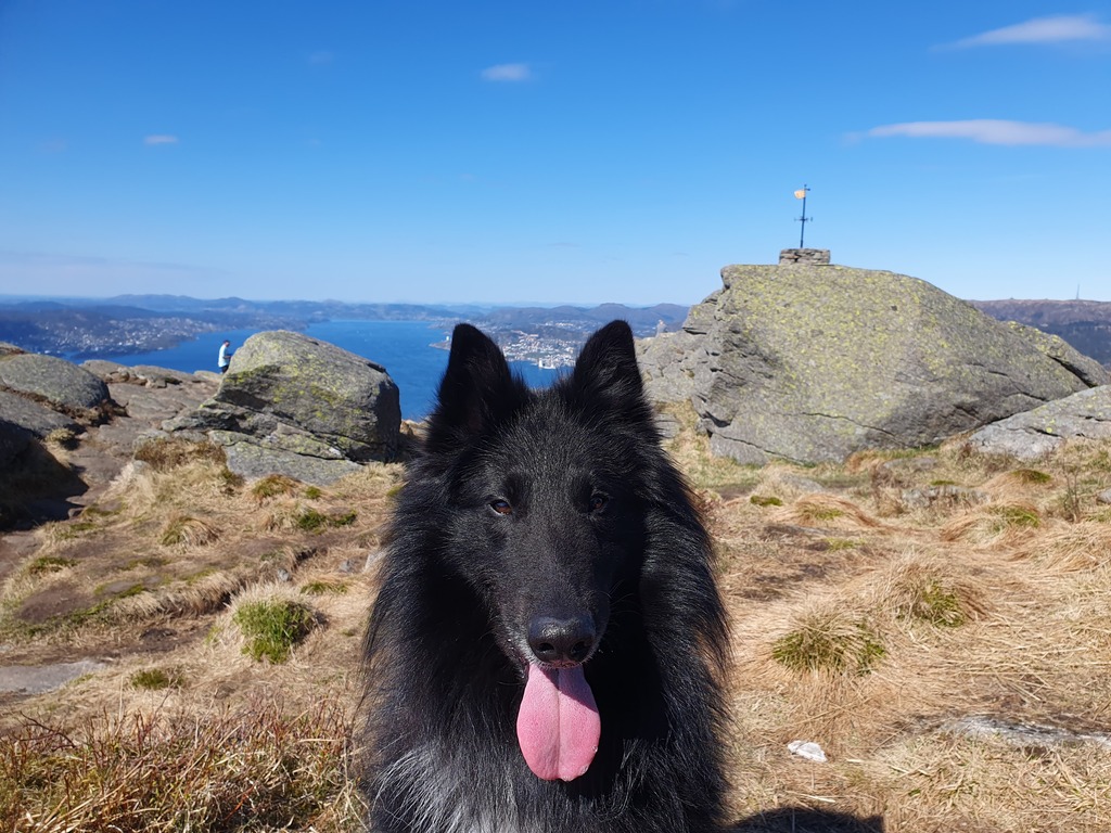 We enjoy hiking in the summer