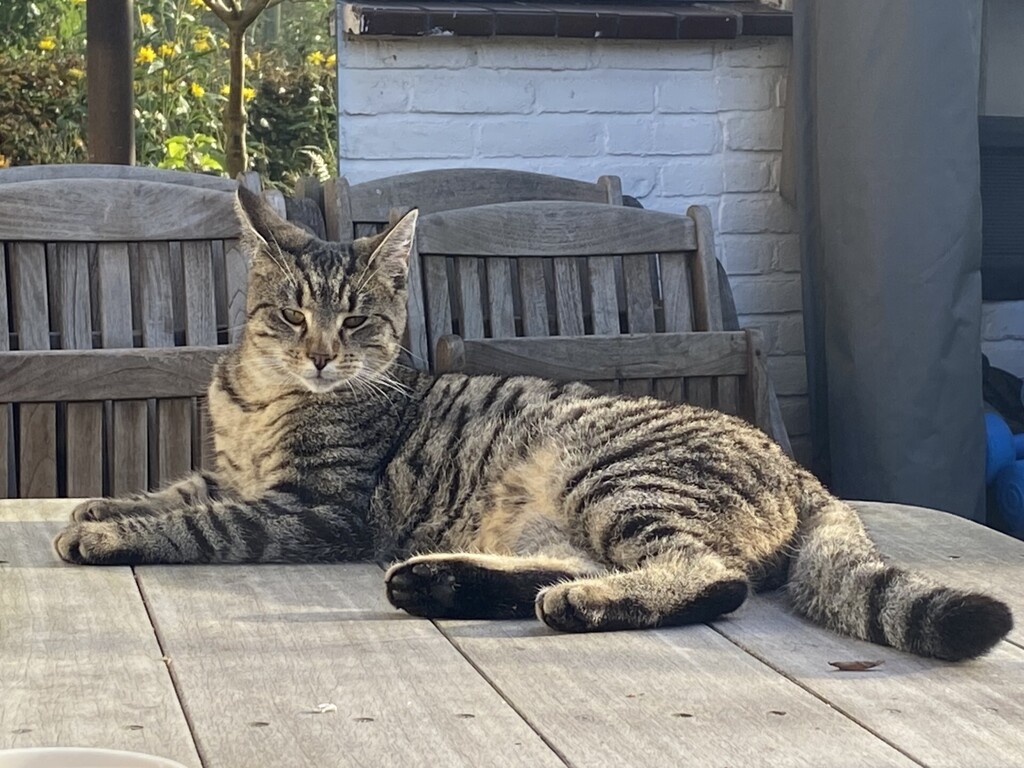 Mochi born March 2024