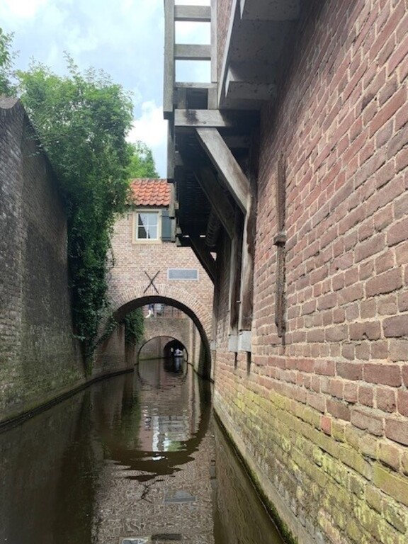 amazing Jeroen Bosch tour in Den Bosch 