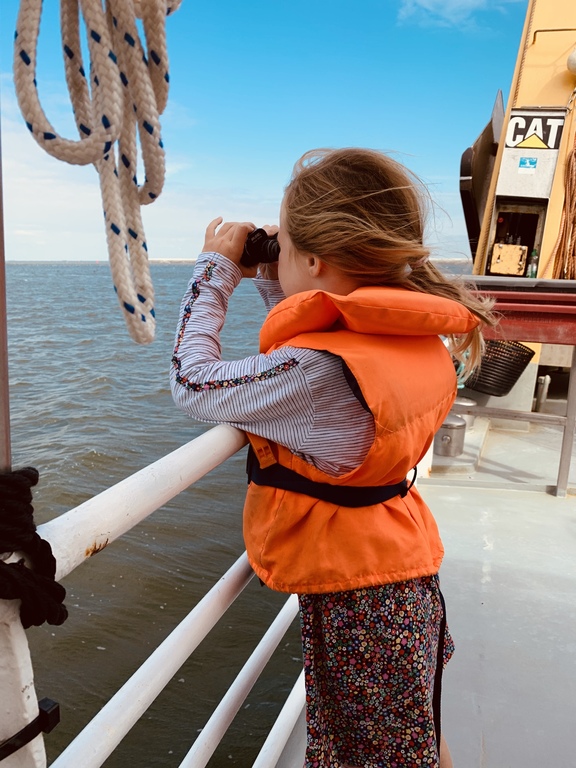 Watching seals and shrimp fishing