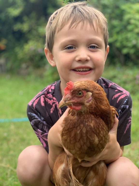 We have hens in the garden 