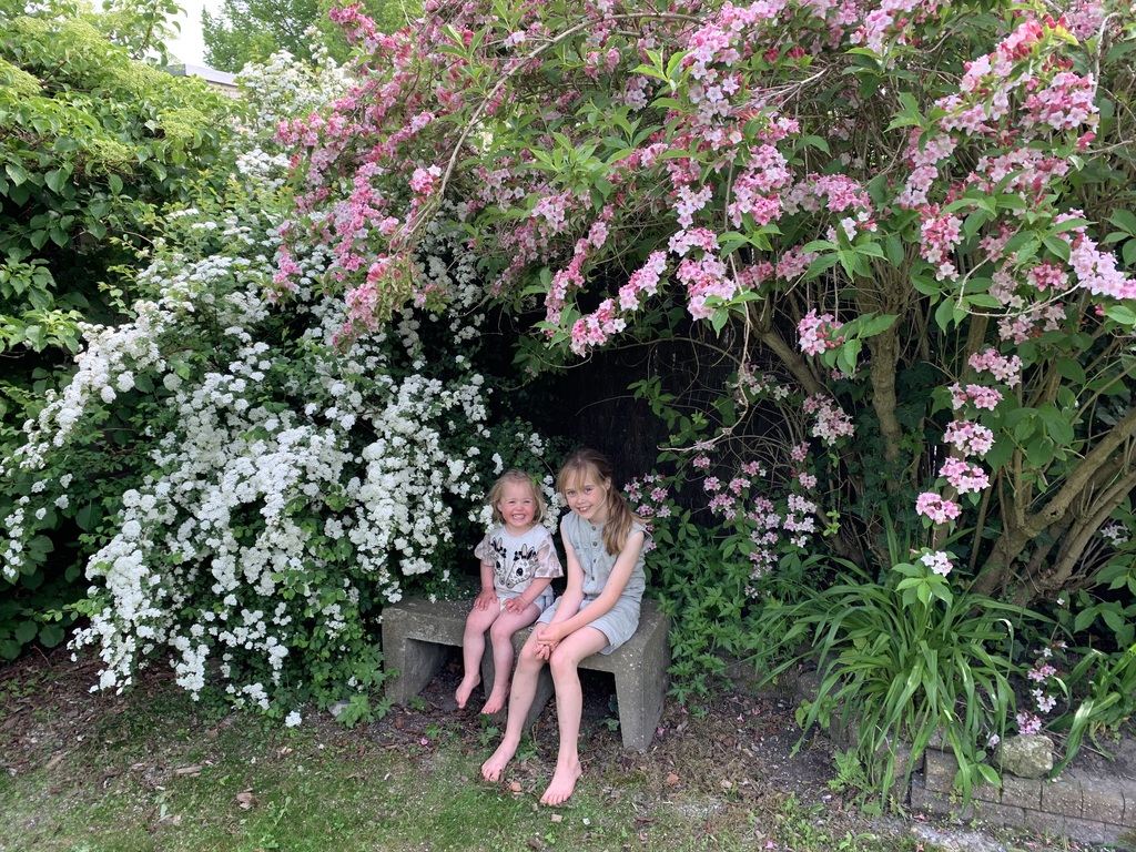 Our beautiful garden 