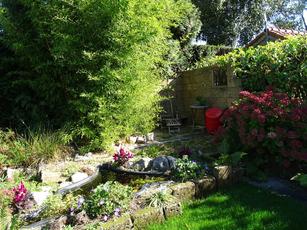 Lazy corner in our garden