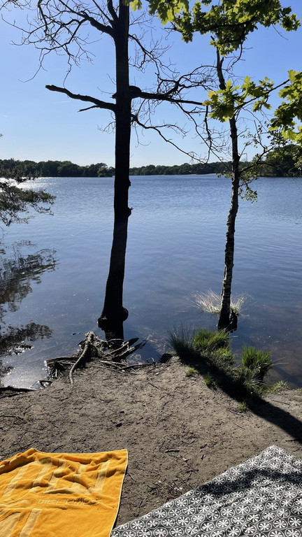 the "Ijzeren man" in Vught a great lake to walk, mountainbike, run and swim also with a great restaurant.