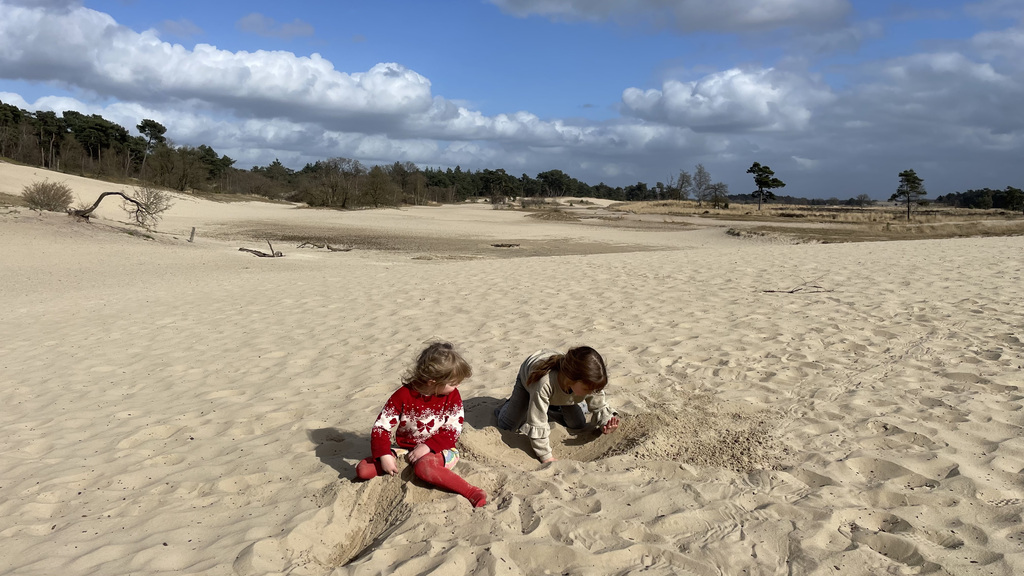 National park "Loonse and Drunese Duinen" big sand dunes 30 min from our house