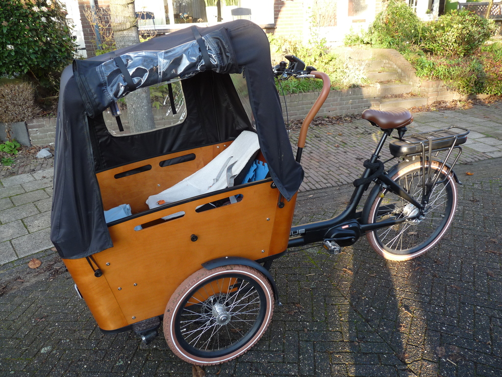 This is our electric bicycle and the real Dutch way of getting around with small children.
