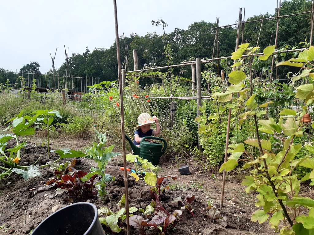Evan in our vegetable garden