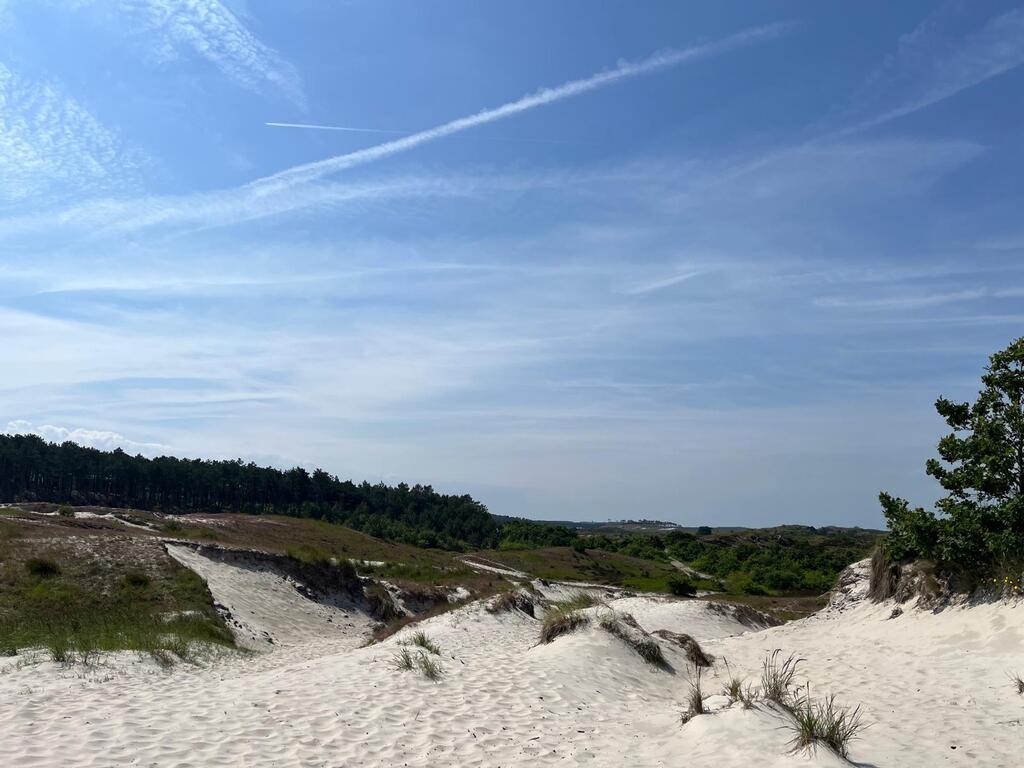 Schoorl Beach (10 minutes cycle through forest/ dunes)