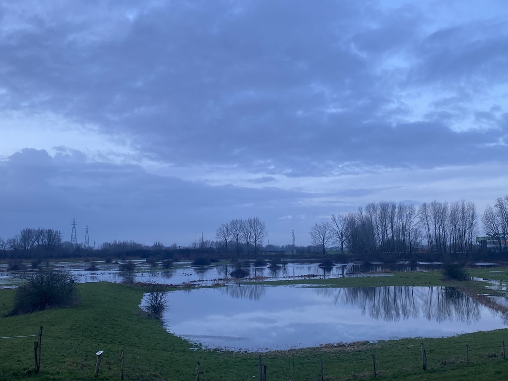 floodplains of the Rhine river. Just 200 meters away (we are on the safe side of the levy/dyke