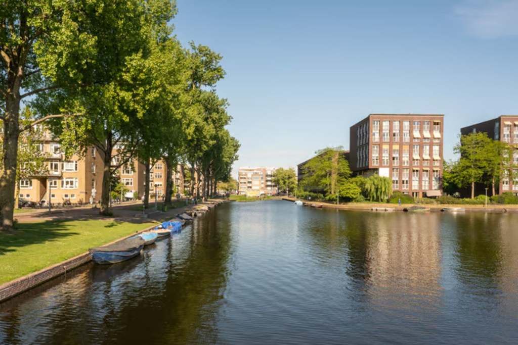 Surrounding of the house: three public parcs, Erasmusparc walk 5 min., Westerparc 15 min.Rembrandparc 18 min walk

