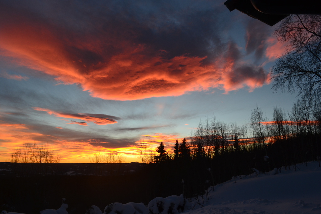 sunset view from our garden
