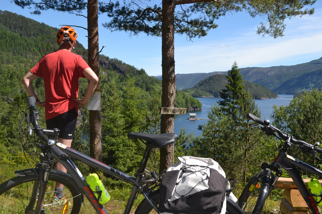 biking in summer in the south of Norway