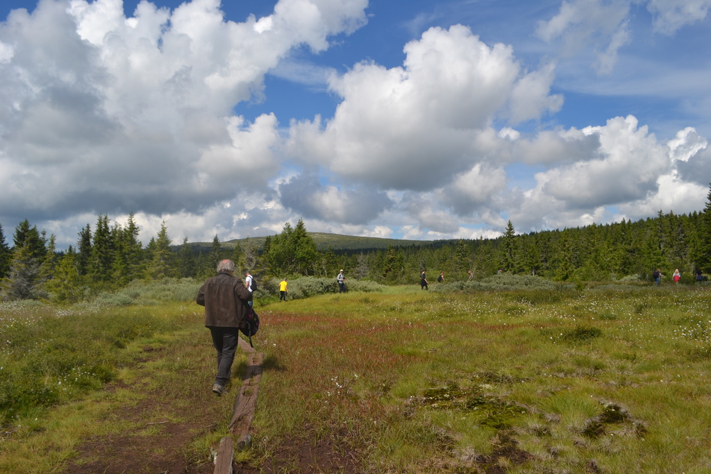 on the way to the nevelfjell, a top in the surroundings