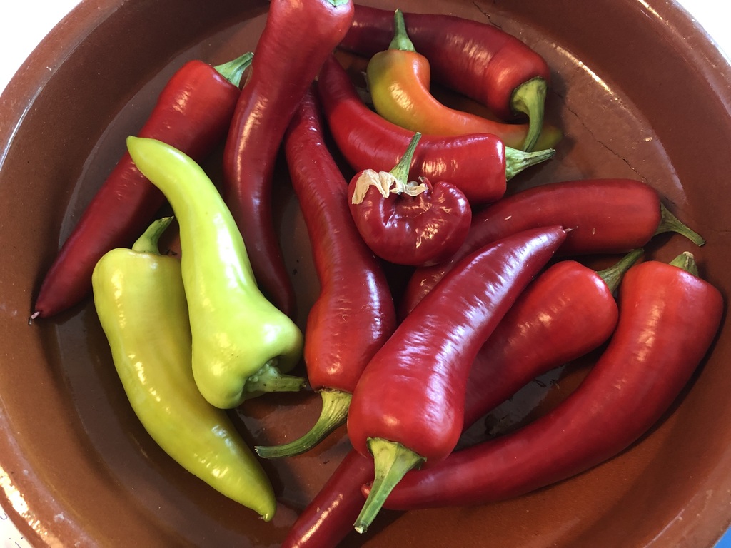 Peppers from our greenhouse