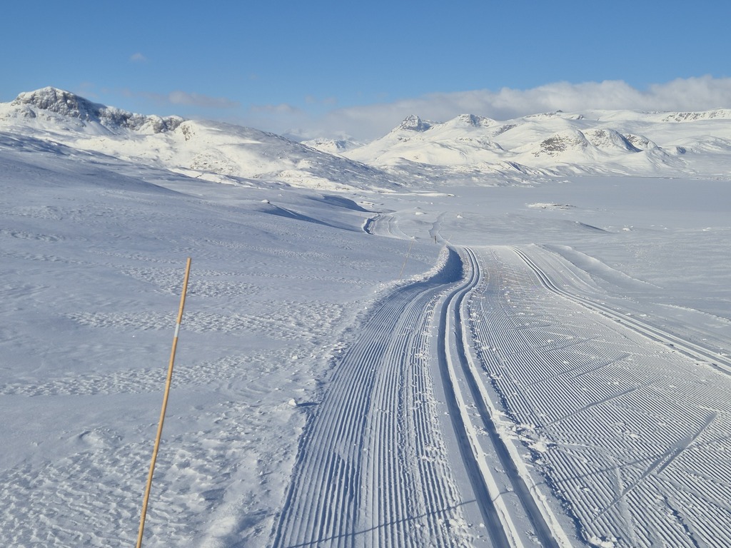 Cross country skiing